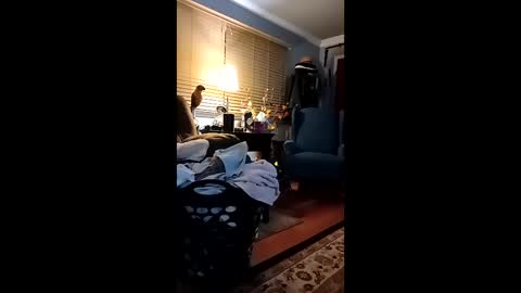 doobie1717 online show from March 2026 02:49:01 AM