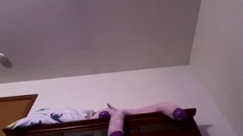 Snapshot of doodlez224472 chatting on December 2025 12:54:01 PM doodlez224472 online show from December 2025 12:54:01 PM