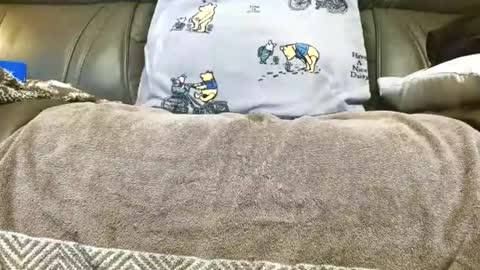 LuvmycockTS69 online show from November 2025 03:16:02 AM