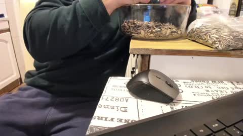 Snapshot of doriancretu95 chatting on January 2025 12:00:01 AM menu below online show from January 2025 12:00:01 AM