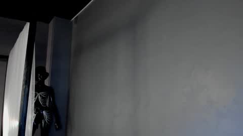 Snapshot of dorothy_meyer chatting on March 2025 12:52:01 PM Dorothy Next stream on Monday at 3am-9am online show from March 2025 12:52:01 PM