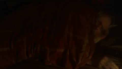 Hello  welcome to Slutsville  I am the Naked Chef  really  but you may call me Peter online show from December 2024 09:33:01 PM