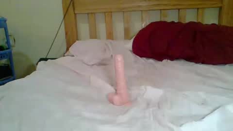 Snapshot of dottletop chatting on February 2025 08:21:02 AM dottletop online show from February 2025 08:21:02 AM