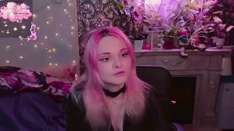 DiBi online show from June 2026 08:42:01 PM