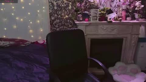 DiBi online show from July 2026 02:52:01 PM