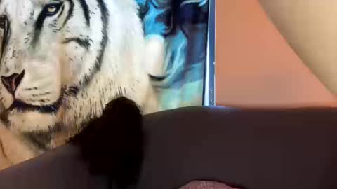 Snapshot of dove_love22 chatting on October 2025 09:06:01 PM dove_love22 online show from October 2025 09:06:01 PM