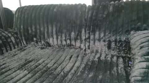 Snapshot of drayanicole1 chatting on March 2025 11:25:02 AM Draya Nicole online show from March 2025 11:25:02 AM