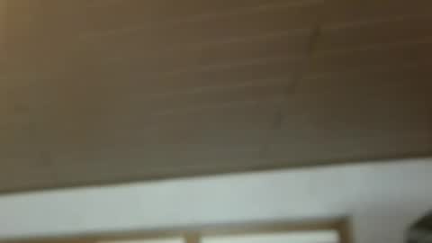 Snapshot of dreambob chatting on December 2025 11:17:02 AM Dreambob online show from December 2025 11:17:02 AM