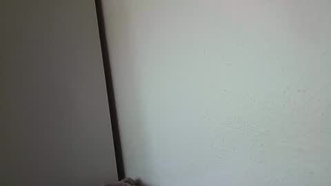 Snapshot of dreammaud333 chatting on February 2025 01:27:01 PM dreammaud333 online show from February 2025 01:27:01 PM
