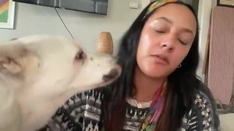 Snapshot of dreamyriri chatting on February 2026 10:48:02 PM RIRI OR DREAMY online show from February 2026 10:48:02 PM