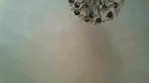 Dr Fill online show from June 2026 11:02:01 AM