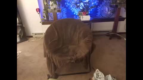 Snapshot of dribblez420 chatting on October 2025 03:12:02 AM dribblez420 online show from October 2025 03:12:02 AM