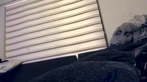 drippinggenie online show from December 2024 05:08:02 PM