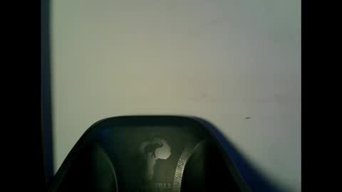 Snapshot of drippingpussy__ chatting on October 2025 11:21:02 AM drippingpussy__ online show from October 2025 11:21:02 AM