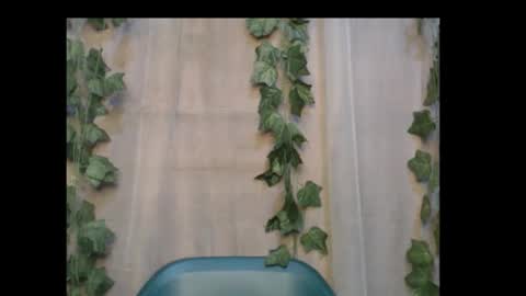 linda online show from October 2025 12:50:01 PM