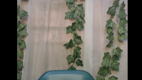 linda online show from November 2025 12:55:01 PM