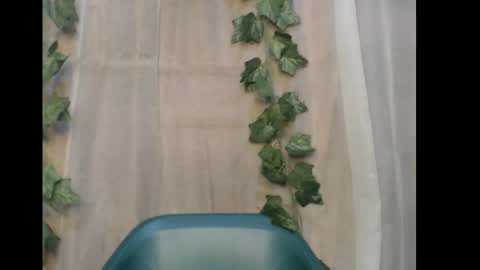 linda online show from December 2025 12:18:02 AM