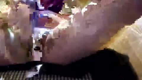 droc1824 online show from October 2025 06:47:01 AM