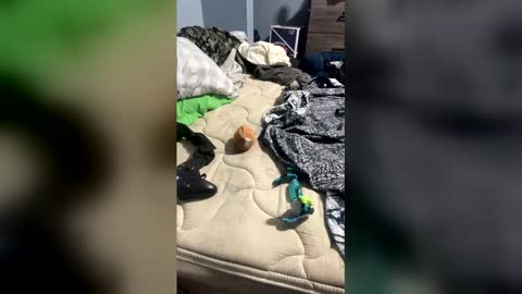 sissyginger online show from April 2026 01:14:02 AM