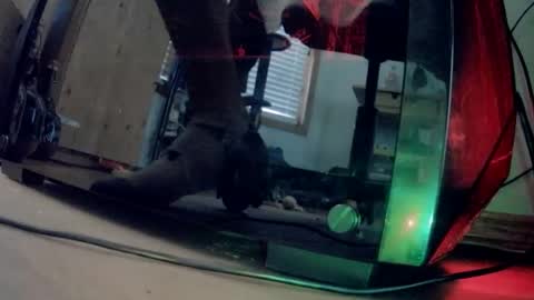 dsjwtw87 online show from February 2026 06:01:02 PM