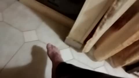 dthedog12 online show from November 2025 10:30:02 PM