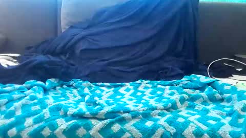 Snapshot of dubsidia chatting on December 2024 12:16:01 PM dubsidia online show from December 2024 12:16:01 PM