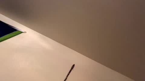 ducebabydee online show from January 2026 09:13:01 AM