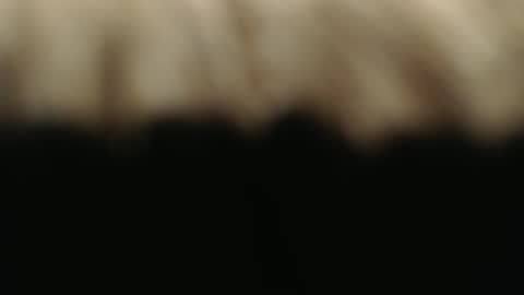 swiss kiss online show from March 2025 07:15:02 PM