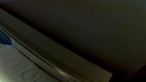 dudeniceguyisback online show from December 2024 02:15:01 PM