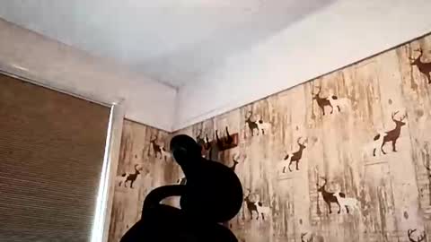 Snapshot of dulac81 chatting on September 2025 09:54:02 AM dulac81 online show from September 2025 09:54:02 AM