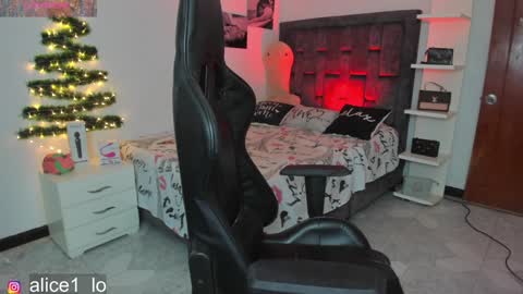 Snapshot of dulce_alice_ chatting on December 2024 01:44:02 PM ALICE online show from December 2024 01:44:02 PM