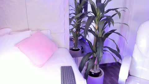 Dulce  online show from January 2026 08:01:02 PM