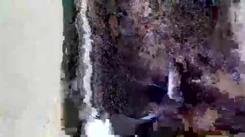  Sofia online show from May 2026 11:06:01 AM