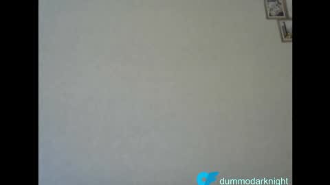 Snapshot of dummodarknight chatting on June 2026 04:46:02 PM The Dark Knight online show from June 2026 04:46:02 PM
