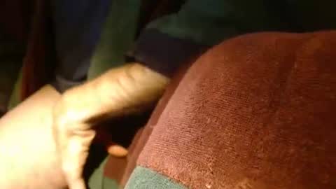 dunany101 online show from February 2025 11:34:02 PM