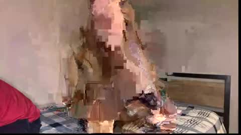 Duo Meow Aurora online show from June 2026 10:16:02 AM