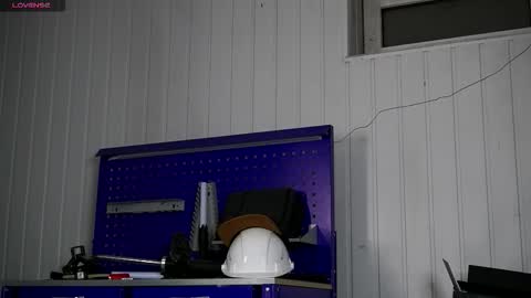 Dustyn online show from January 2026 03:17:01 PM