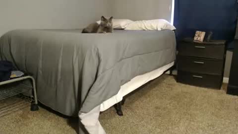 Snapshot of dwhitey4u chatting on December 2024 08:02:01 PM dwhitey4u online show from December 2024 08:02:01 PM