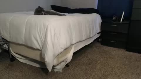 Snapshot of dwhitey4u chatting on November 2025 08:00:01 PM dwhitey4u online show from November 2025 08:00:01 PM