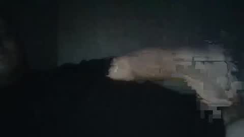 Snapshot of dxjbre chatting on January 2026 09:50:02 PM dxjbre online show from January 2026 09:50:02 PM