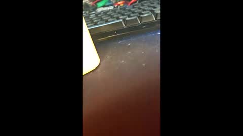 Lizy John online show from March 2026 04:55:01 PM