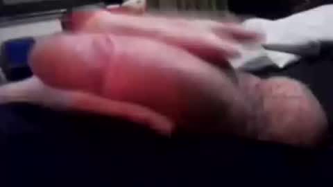 eatpussyuntilligetabj online show from December 2025 09:38:01 AM