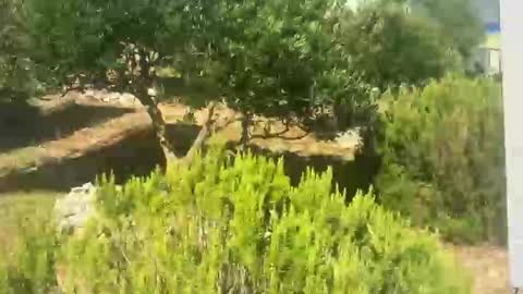 ebnk15 online show from September 2025 08:08:01 AM