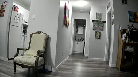 Snapshot of edgeofinsanity13 chatting on January 2025 08:02:01 PM Angel online show from January 2025 08:02:01 PM