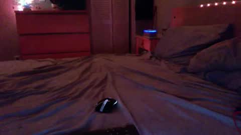 Steven online show from December 2025 02:17:01 AM