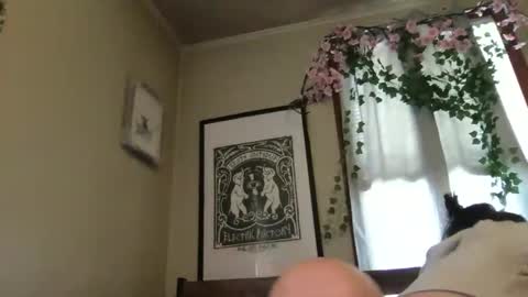 eggnog_and_booty online show from May 2026 07:44:01 PM
