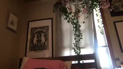 eggnog_and_booty online show from July 2026 08:13:02 PM