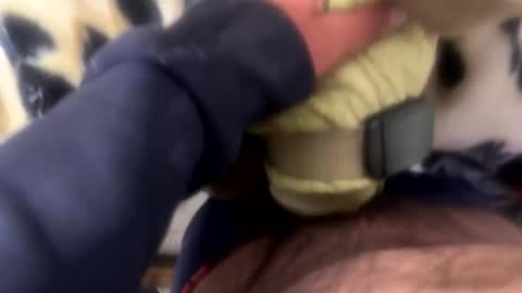 ehdgher online show from April 2026 10:09:02 AM