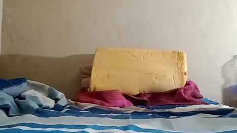 Sebastin online show from October 2025 10:16:02 AM