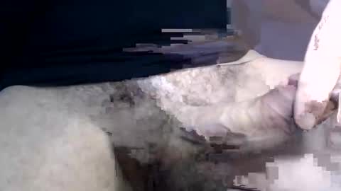 el gato lusty online show from January 2025 01:42:01 PM